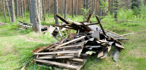 Debris Removal Service in Waldorf